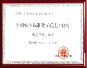 技术推广 连接创新与应用的桥梁